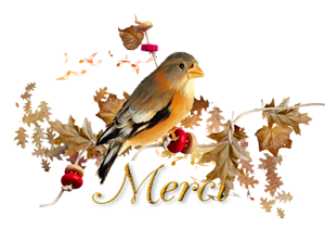 bird